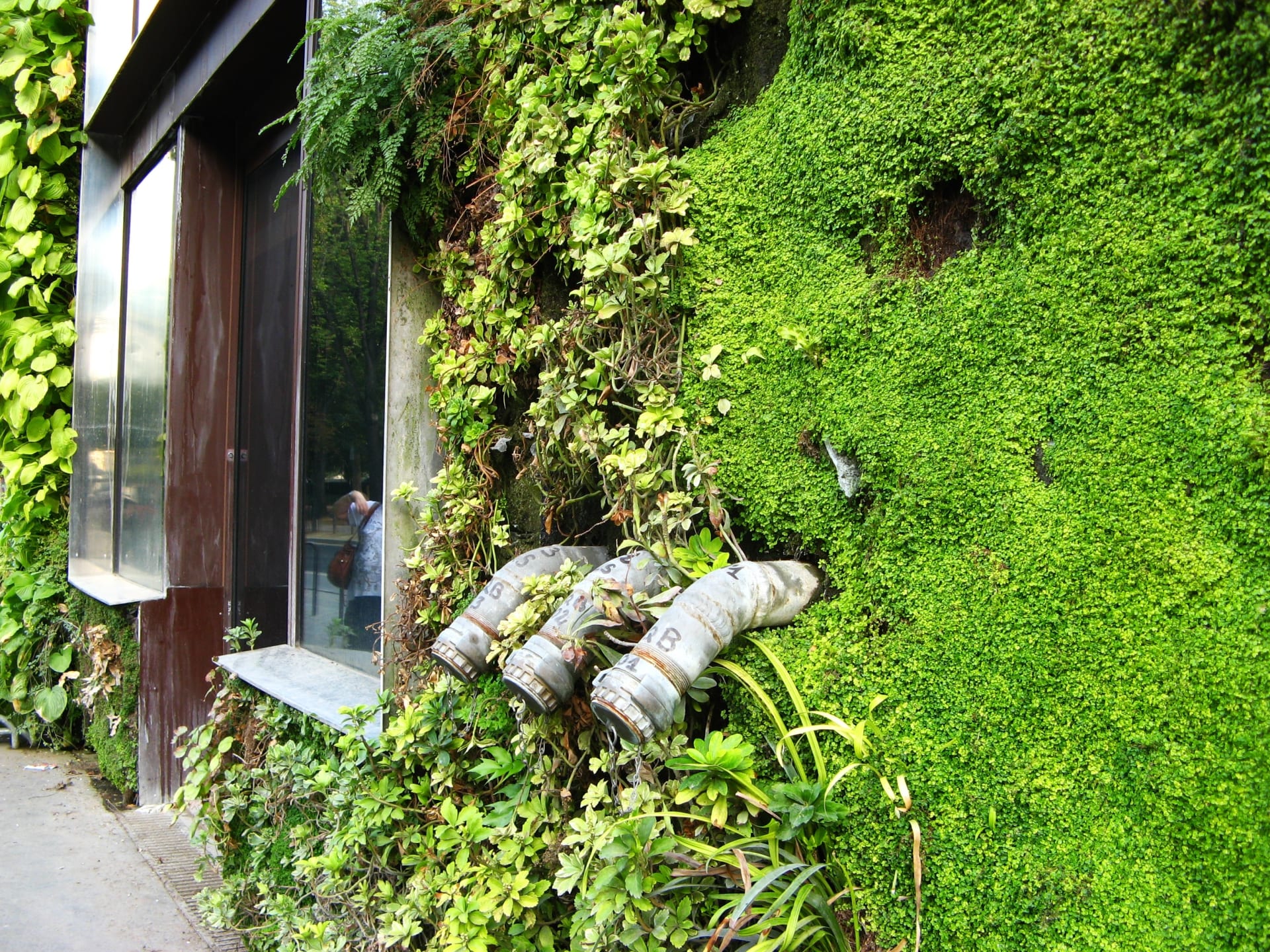 Musée du Quai Branly non ed (미편집본)