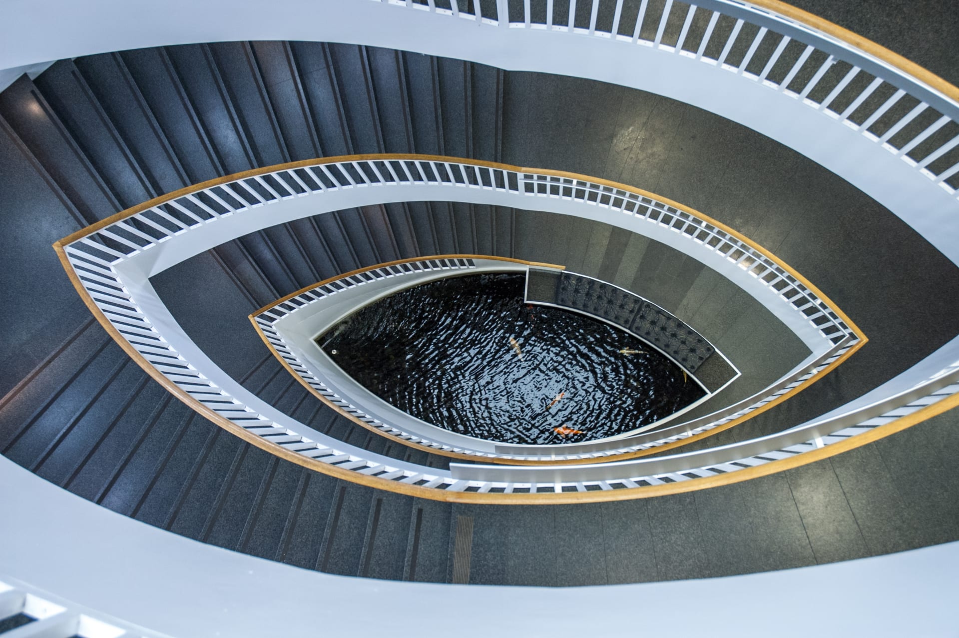 Museum of Contemporary Art Chicago 