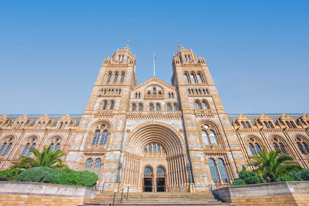 Curiosità sul Natural History Museum 