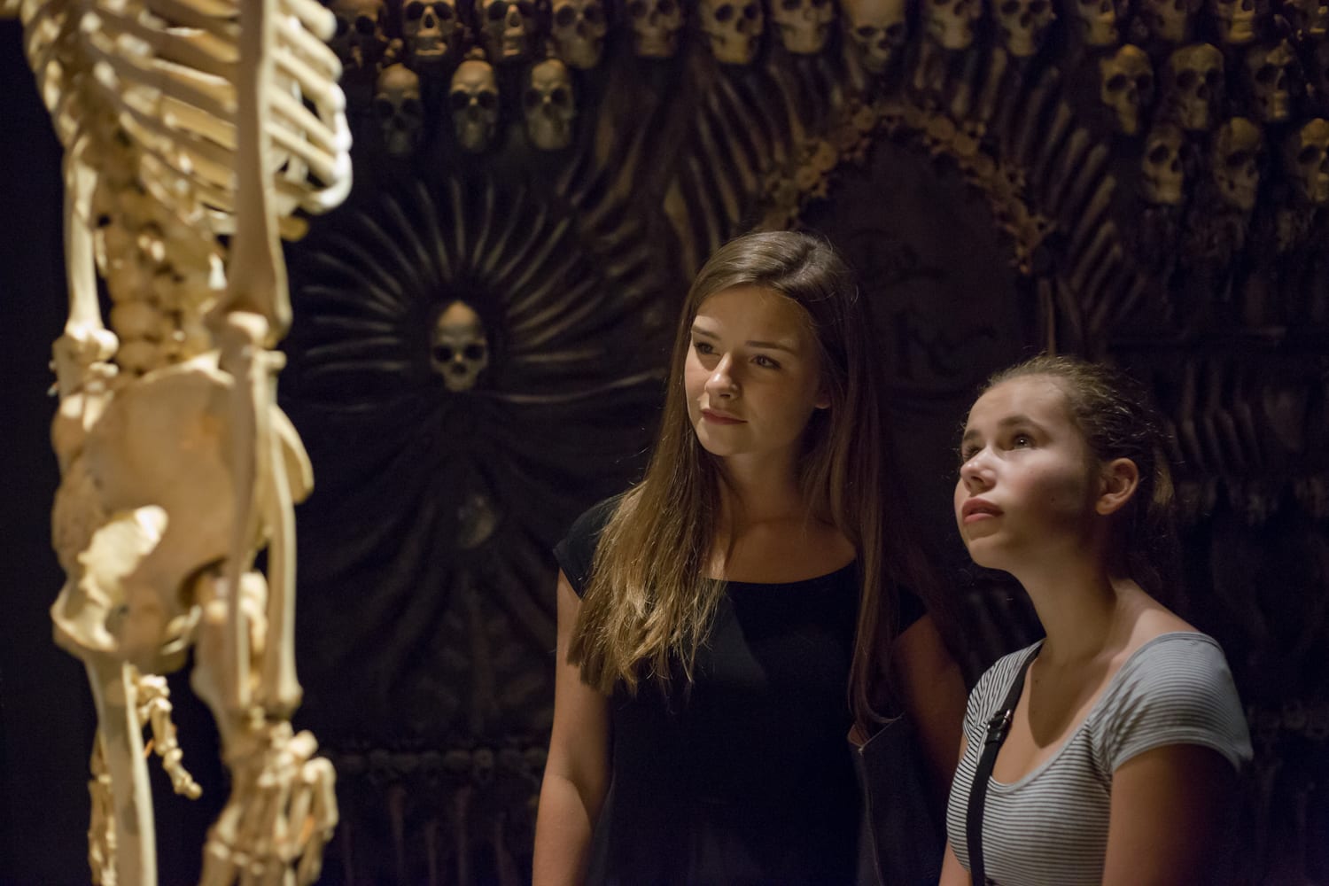 Bodies The Exhibition