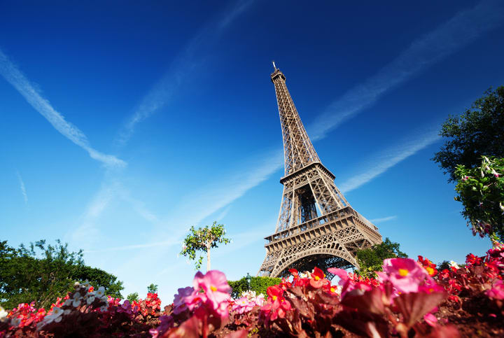 Vista de la Torre Eiffel desde abajo, con flores rosas en primer plano. París en 5 días.