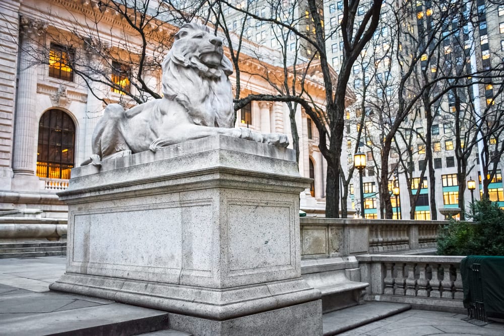 Curiosità sul Bronx 