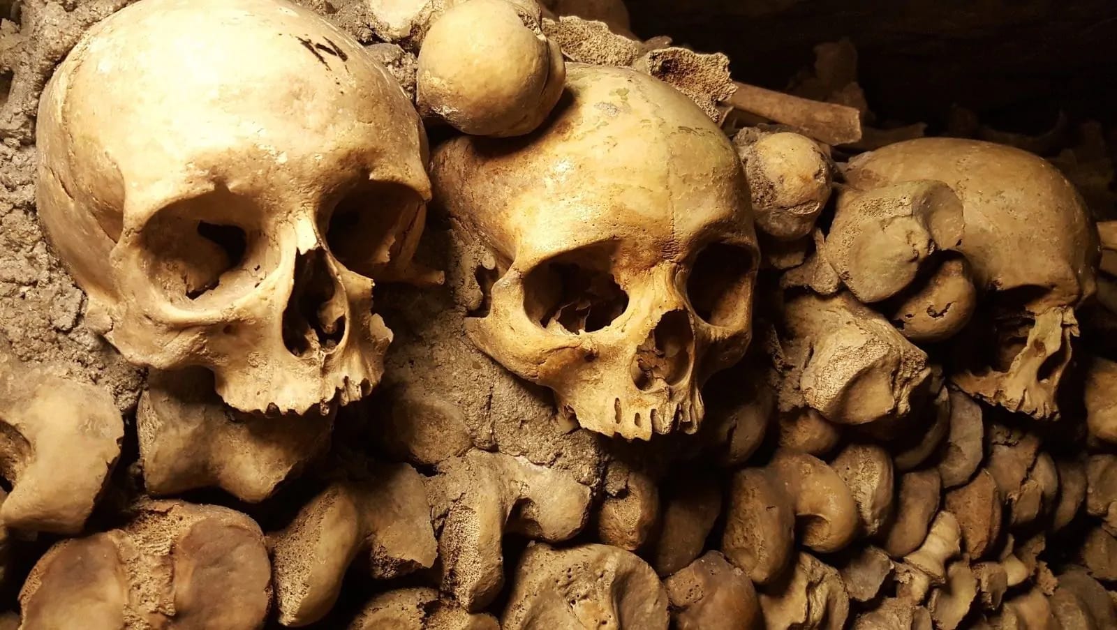 Les catacombes des Capucins
