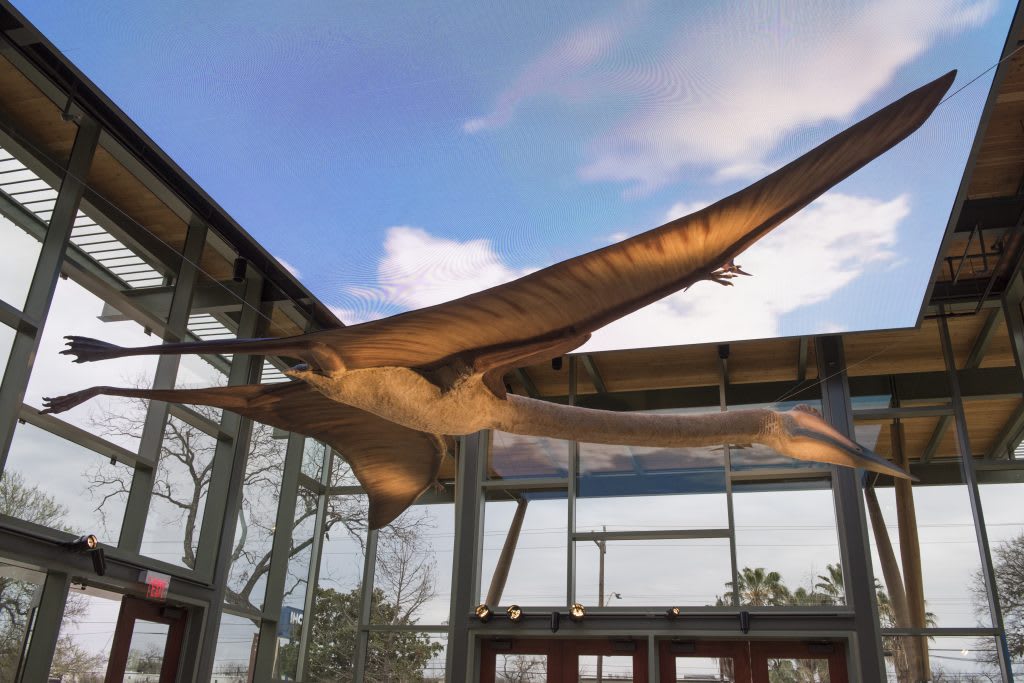 ウィッテ博物館