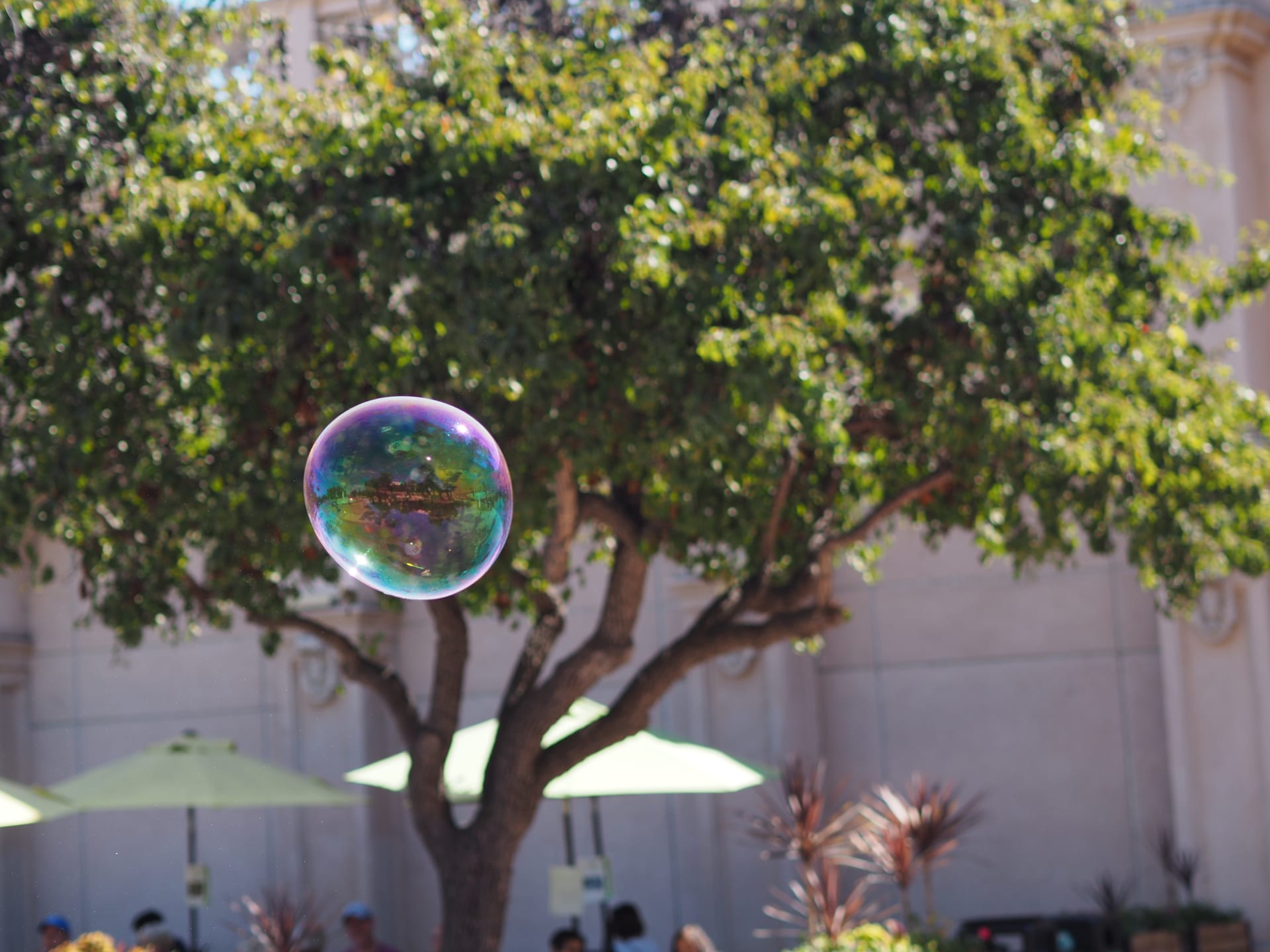 San Diego Children’s Discovery Museum 