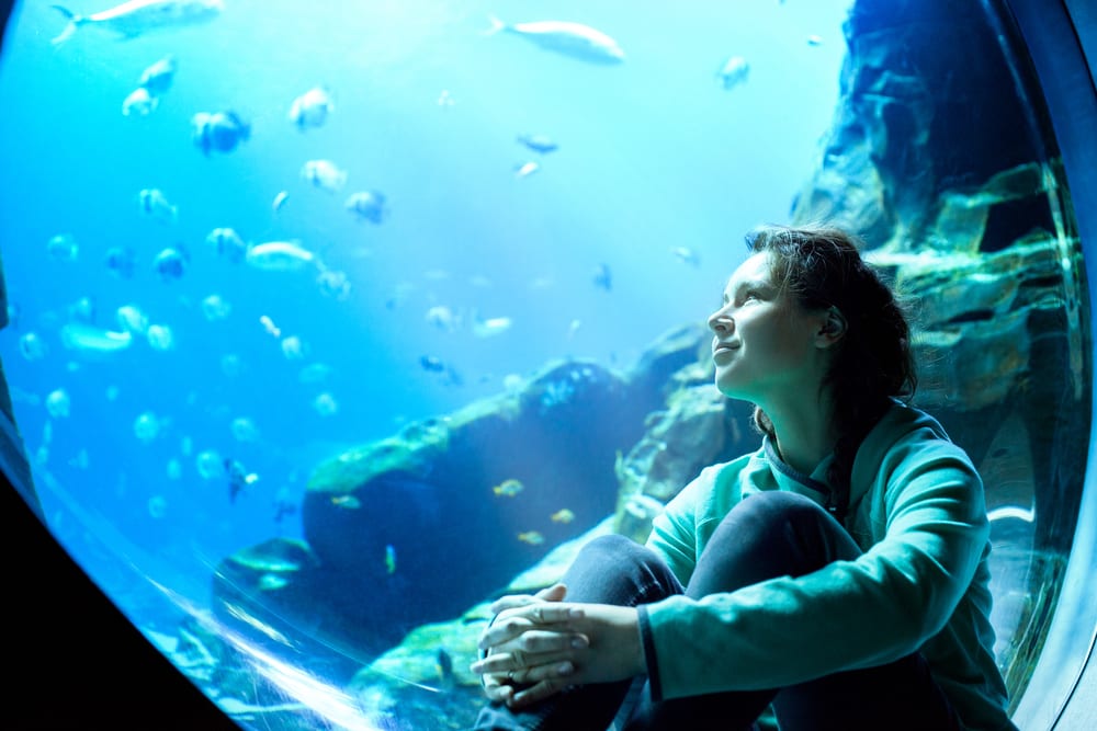 SEA LIFE Aquarium di Londra 