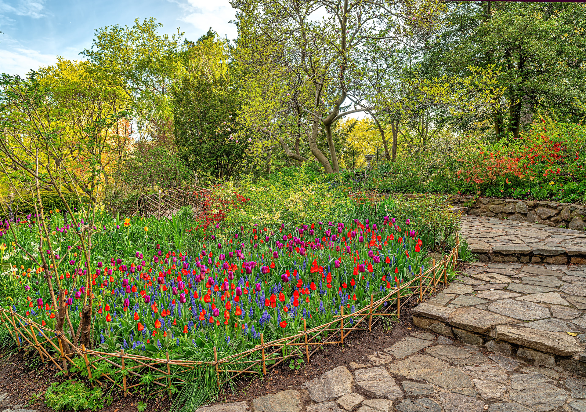 Detalle de flores en el jardín Shakespeare Garden de Nueva York. Planes gratis en Nueva York.