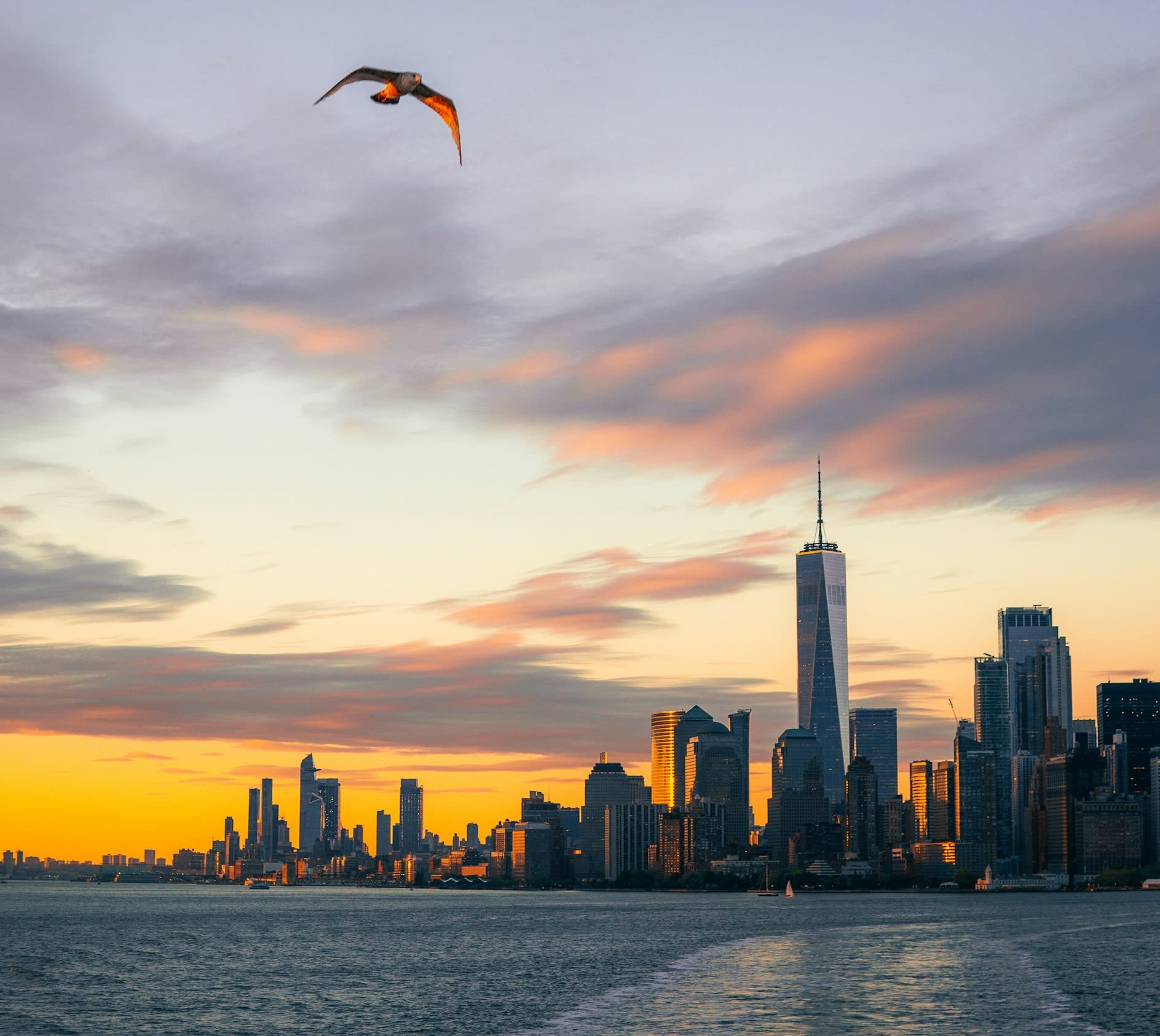 New York skyline views