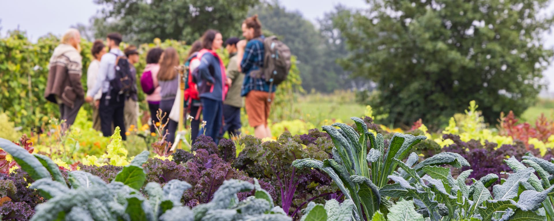 West Side Community Garden 