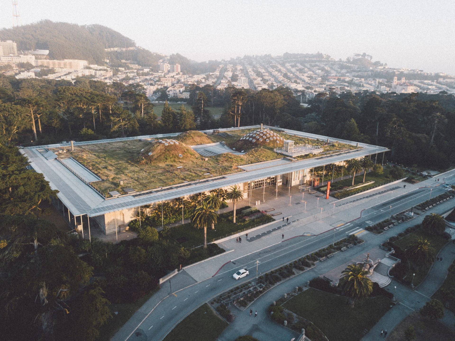 academy-sciences-golden-gate-park-aerial