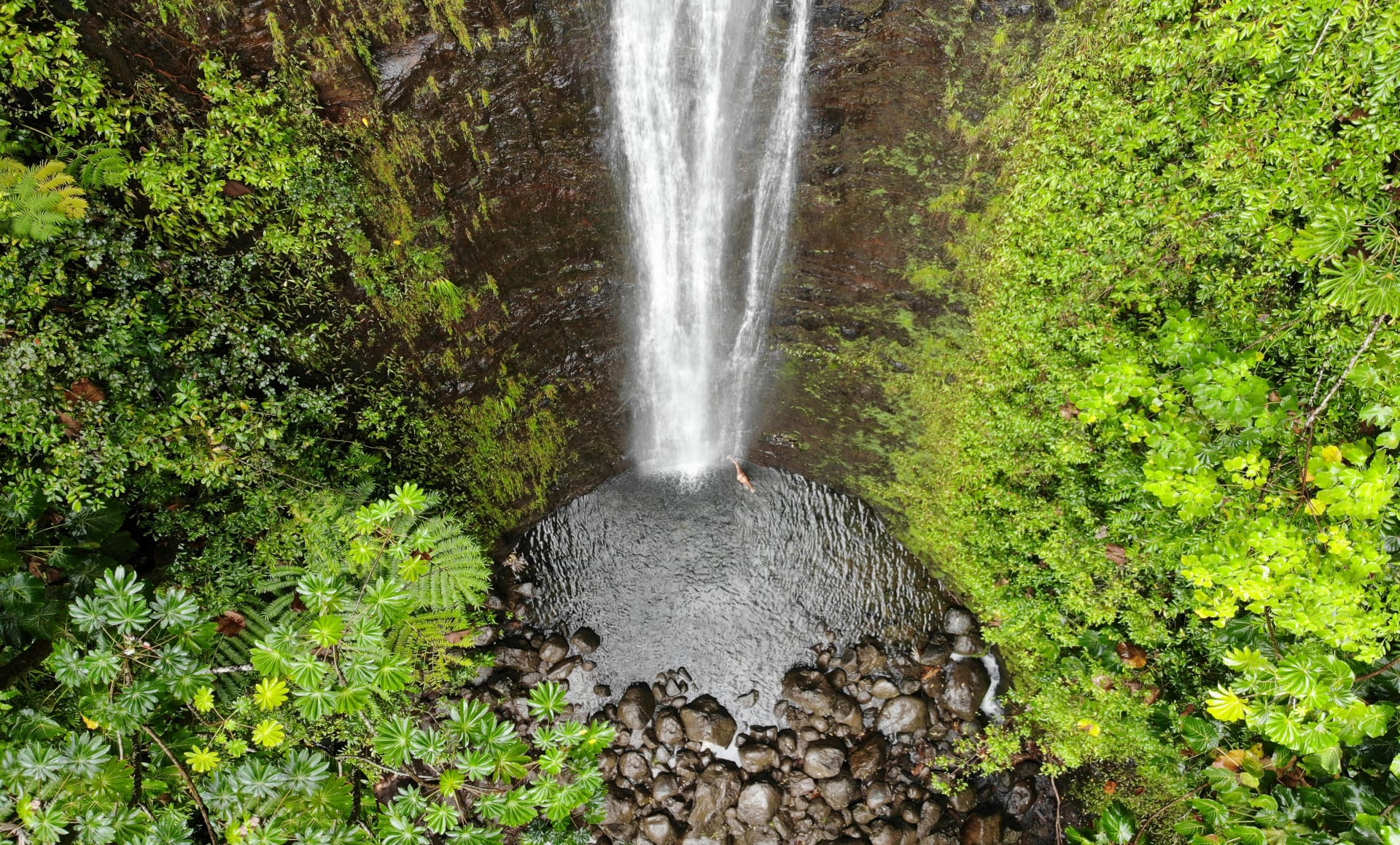 aerial-view-manoa-falls-oahu-hawaii