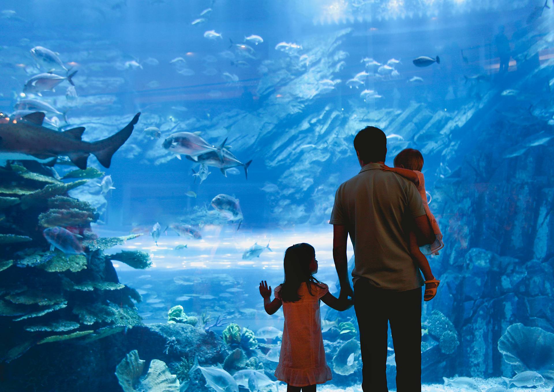 Family at the Aquarium