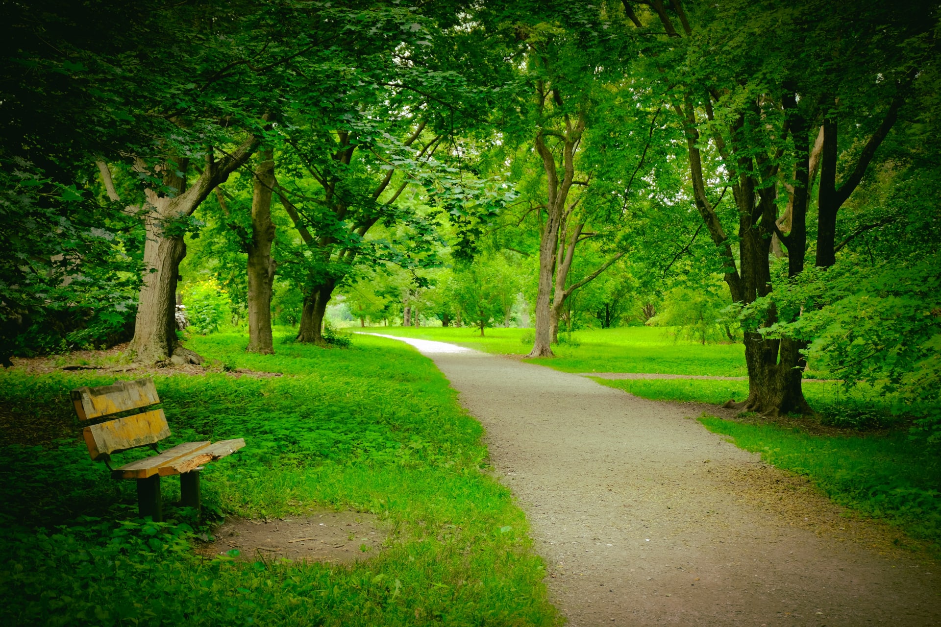 arnold-arboretum-harvard-university-boston-winding