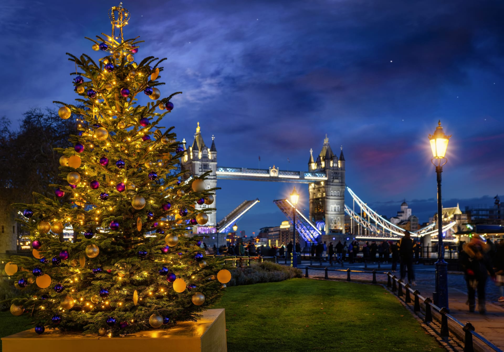 beautiful-christmas-tree-front-defocussed-tower