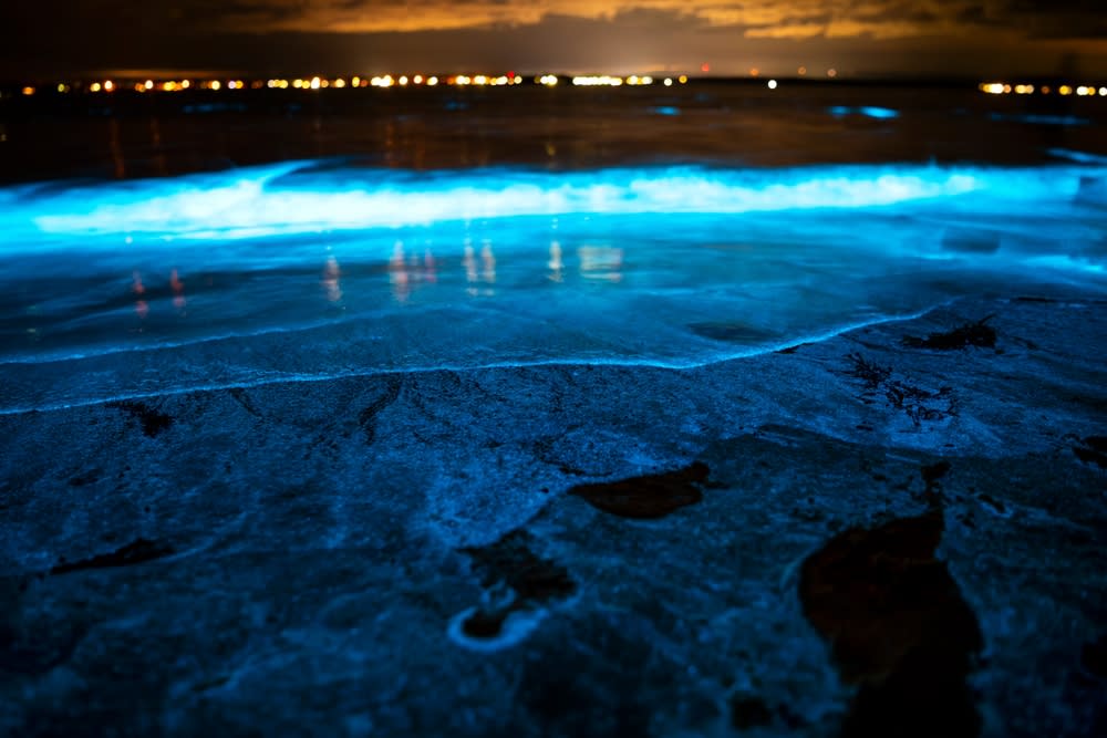 O que fazer em Cancún com crianças