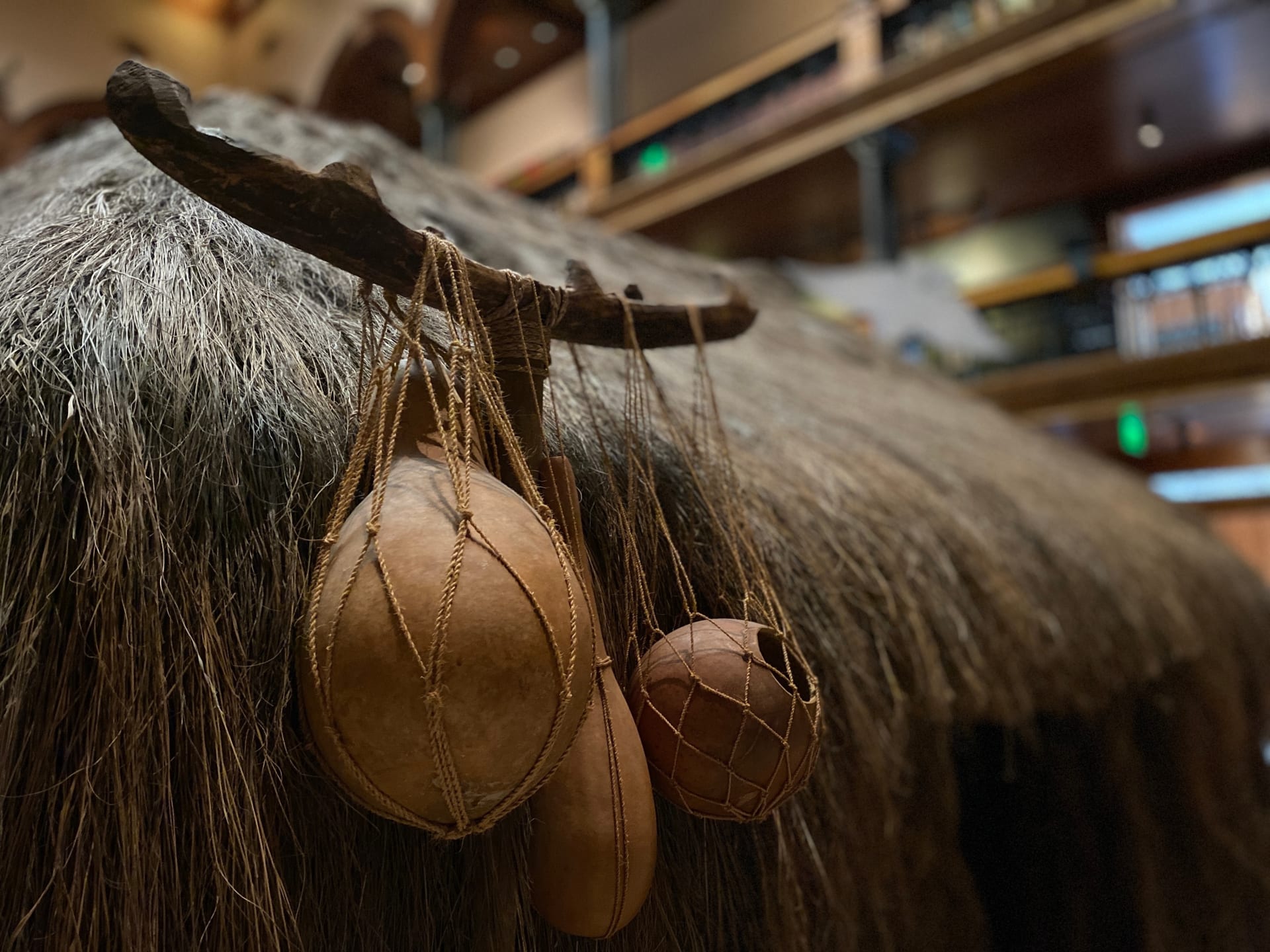 bishop-museum-honolulu-hawaii