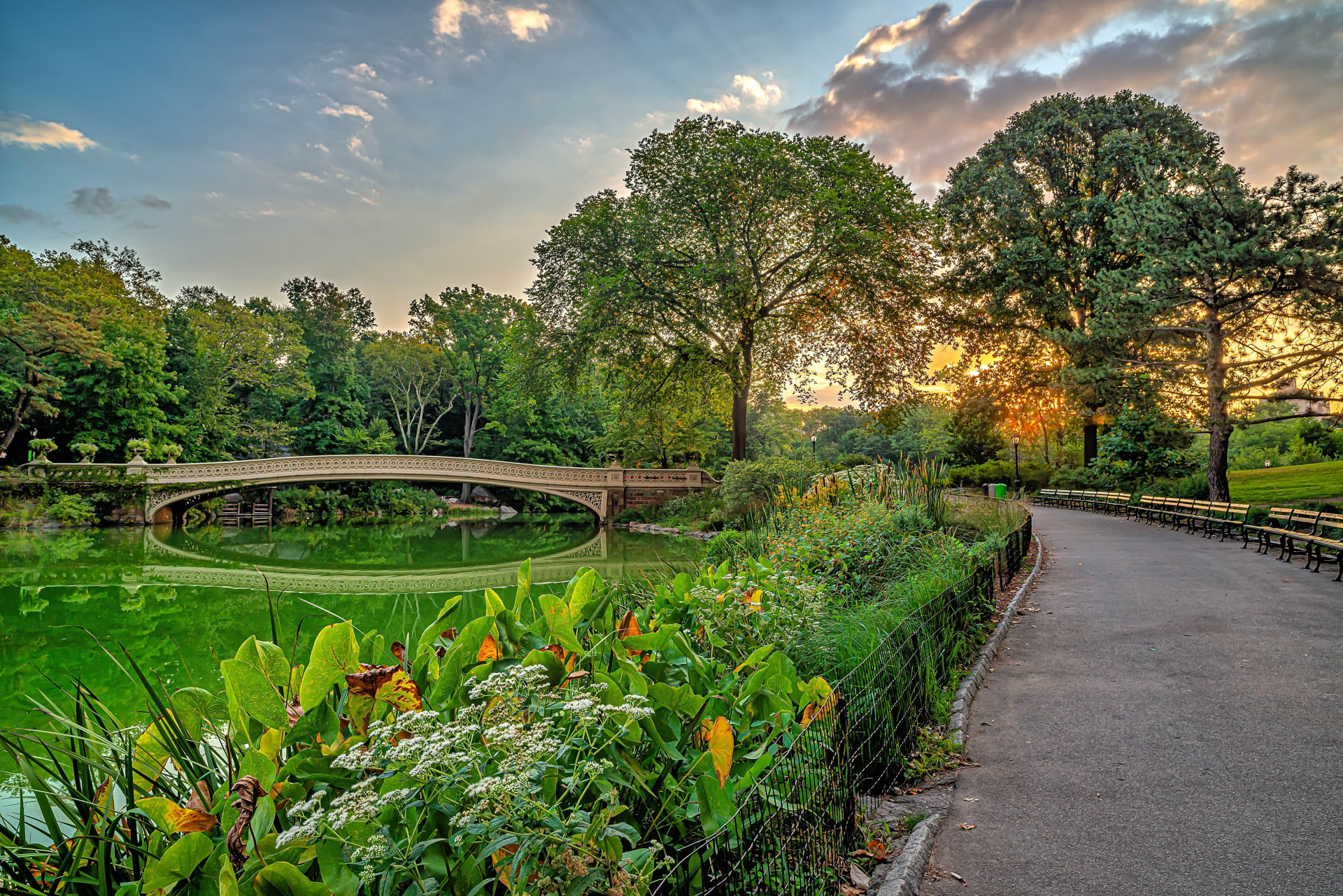 bow-bridge-central-park-new-york