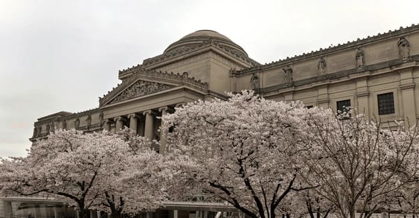 Brooklyn Museum 