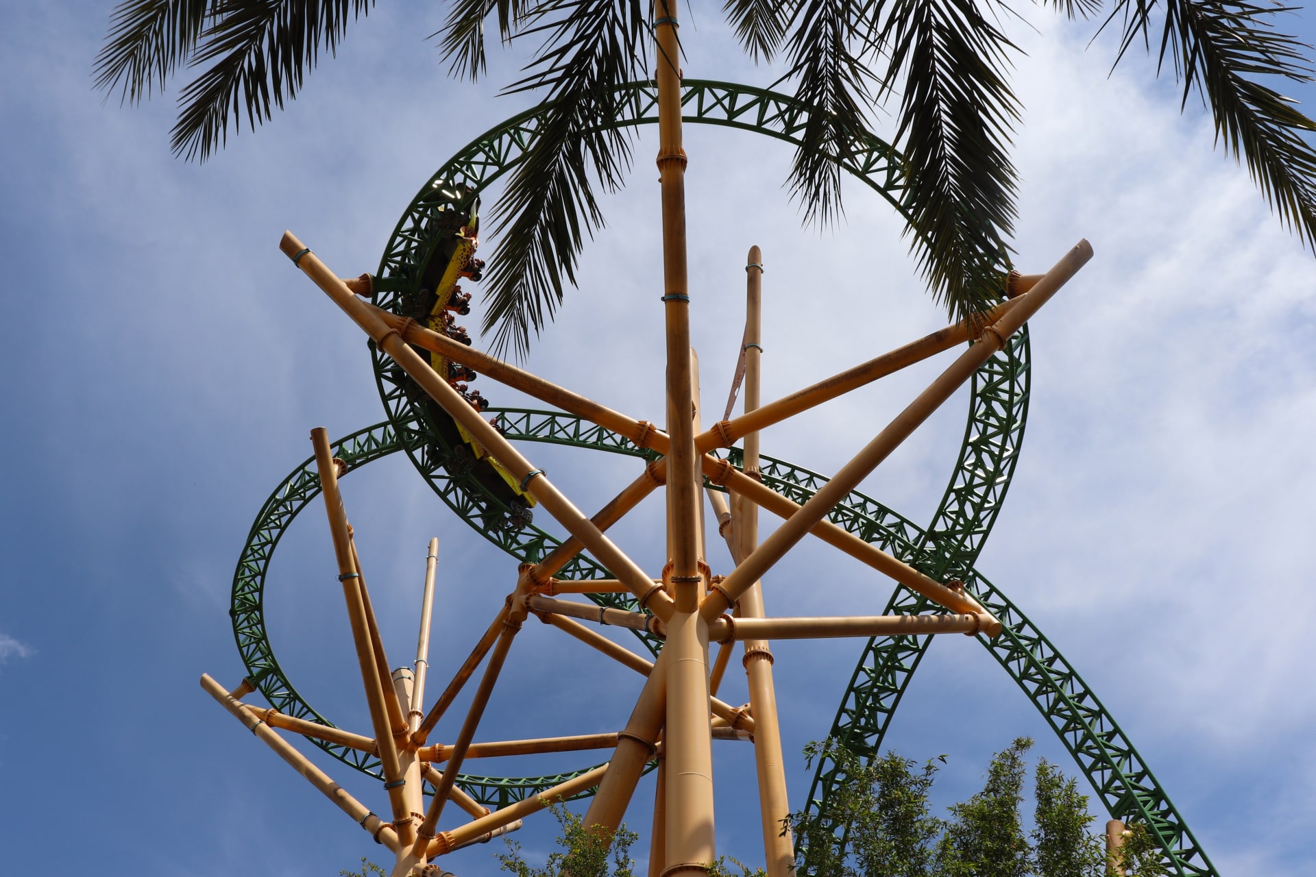 busch-gardens-tampa-bay-roller-coasters