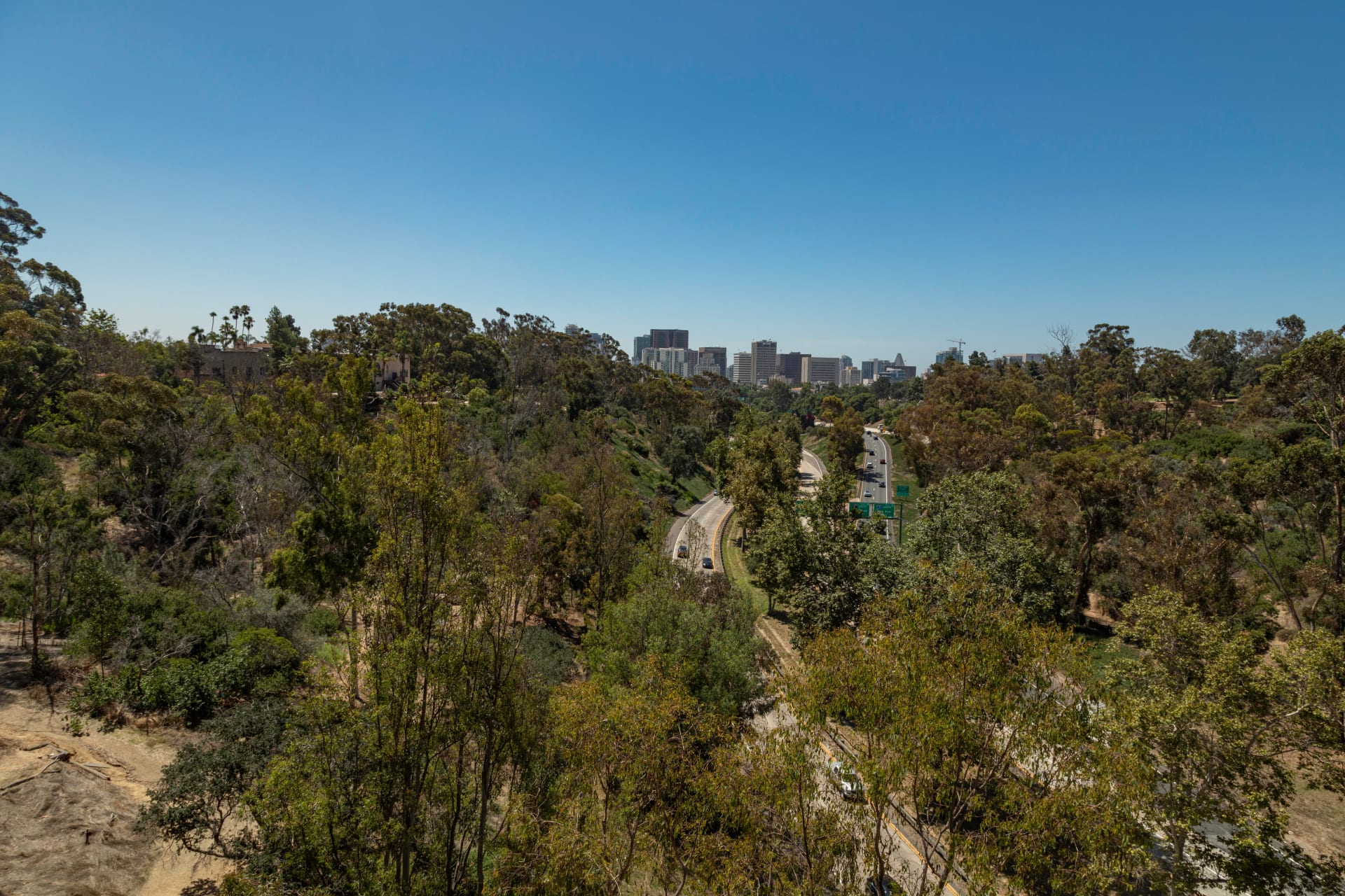 Cabrillo Bridge