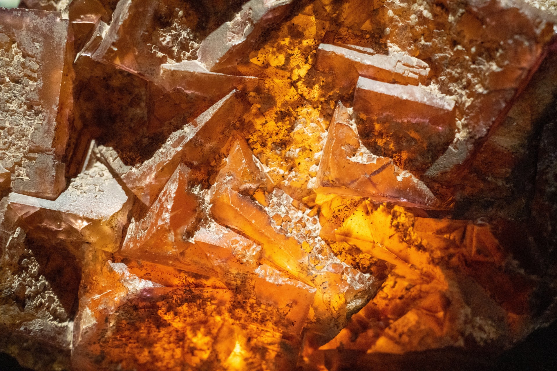 california-science-center-los-angeles-exhibitions