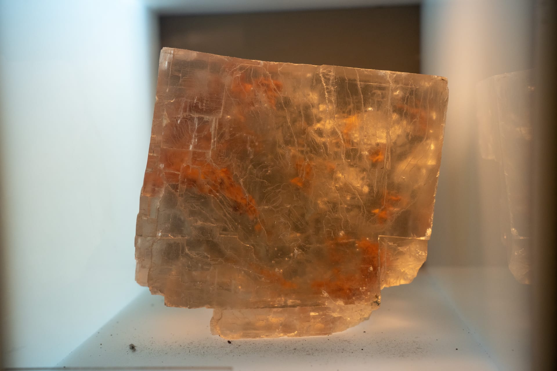 california-science-center-los-angeles-exhibitions