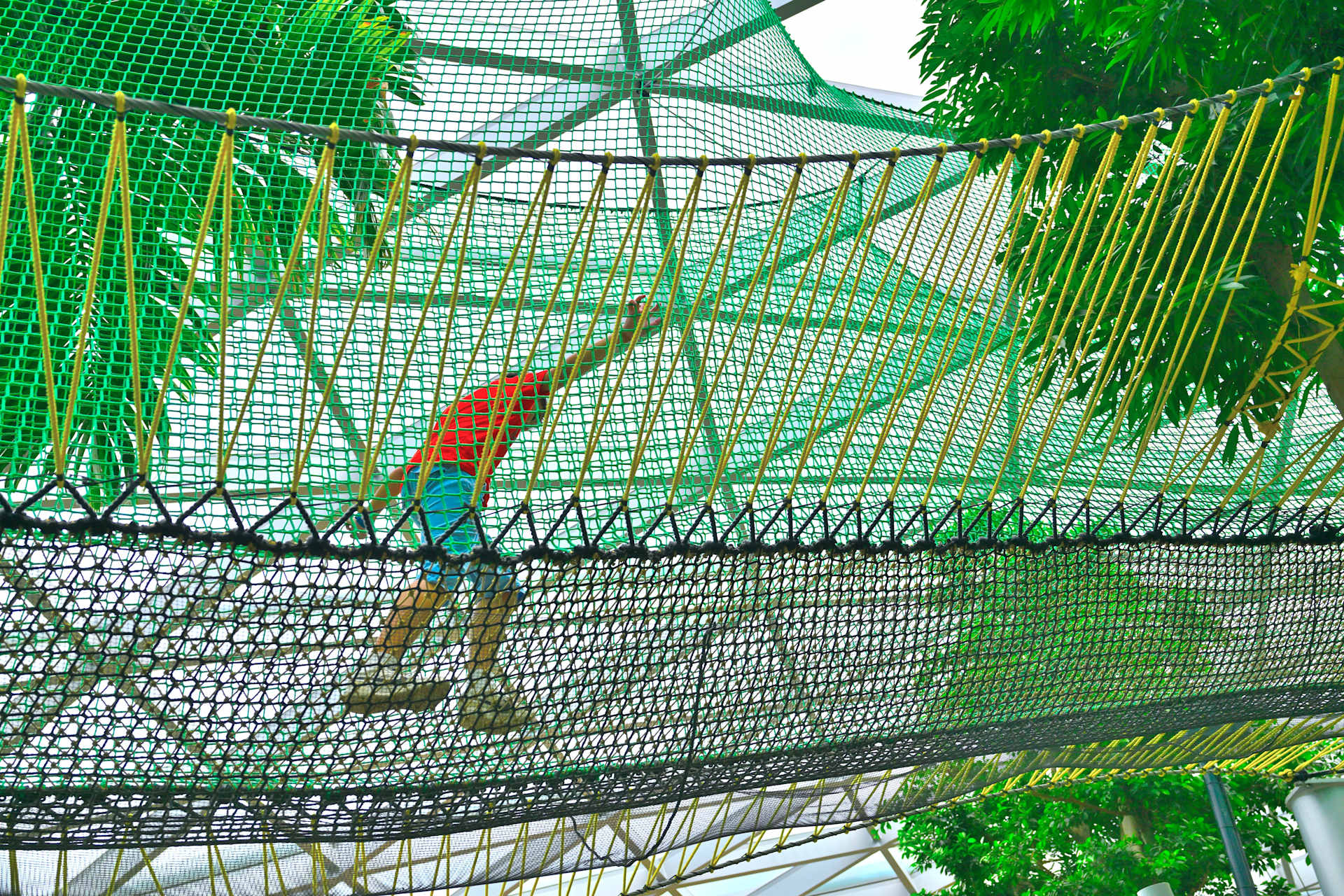 Child on Walking Net at Canopy Park