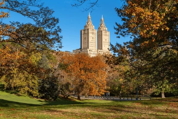 Which Has The Better View? 