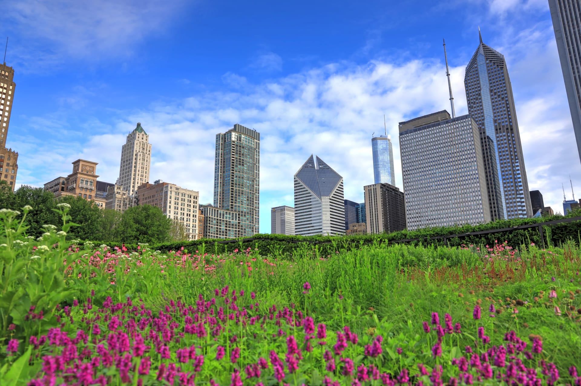 chicago-skyline-lurie-garden