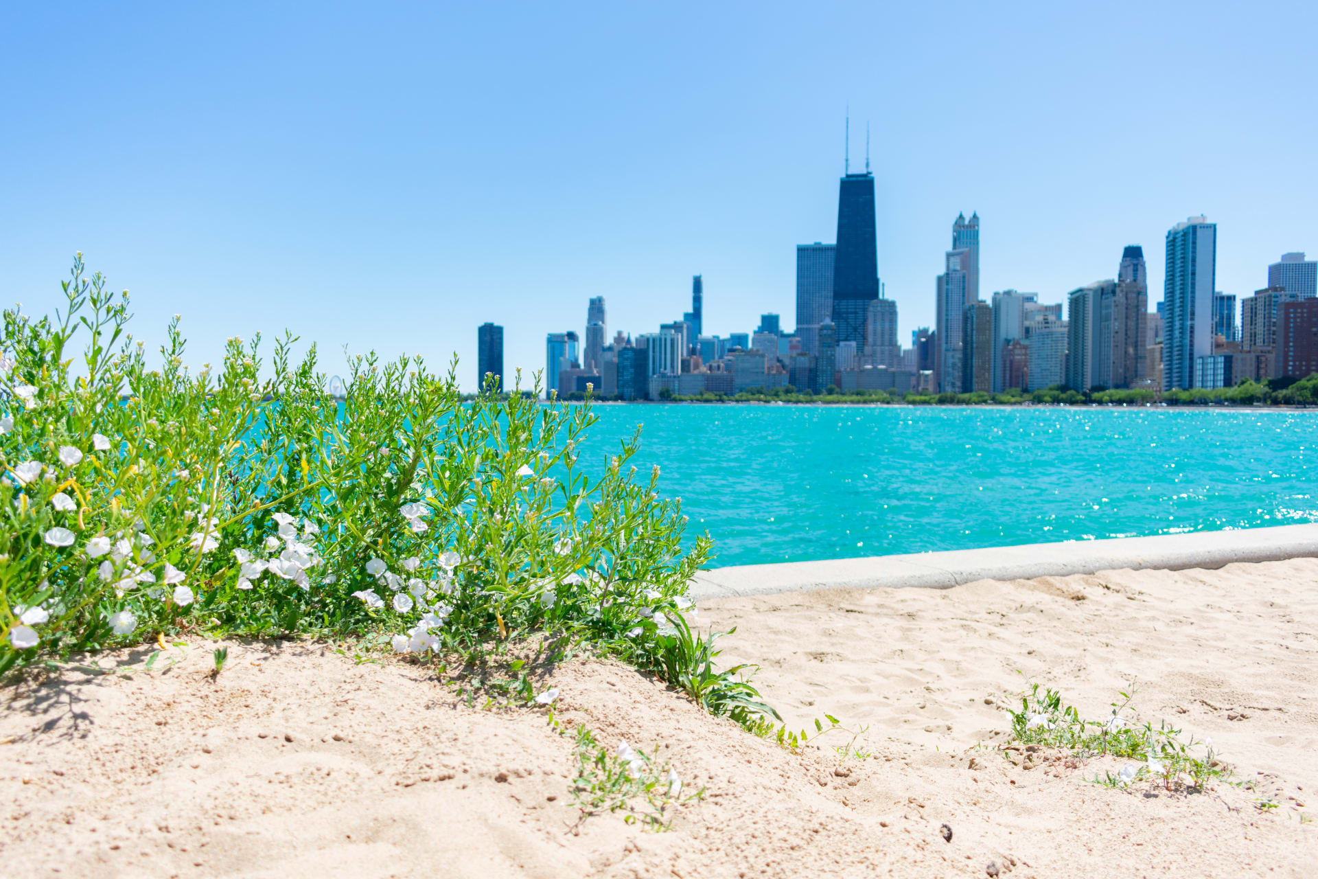 Chicago beach view