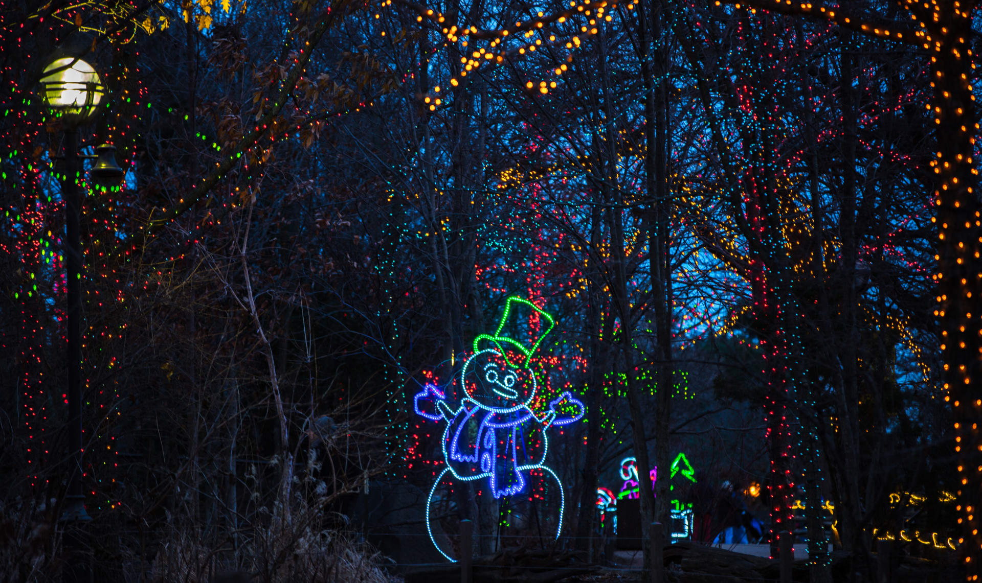 Chicago Zoo Christmas lights