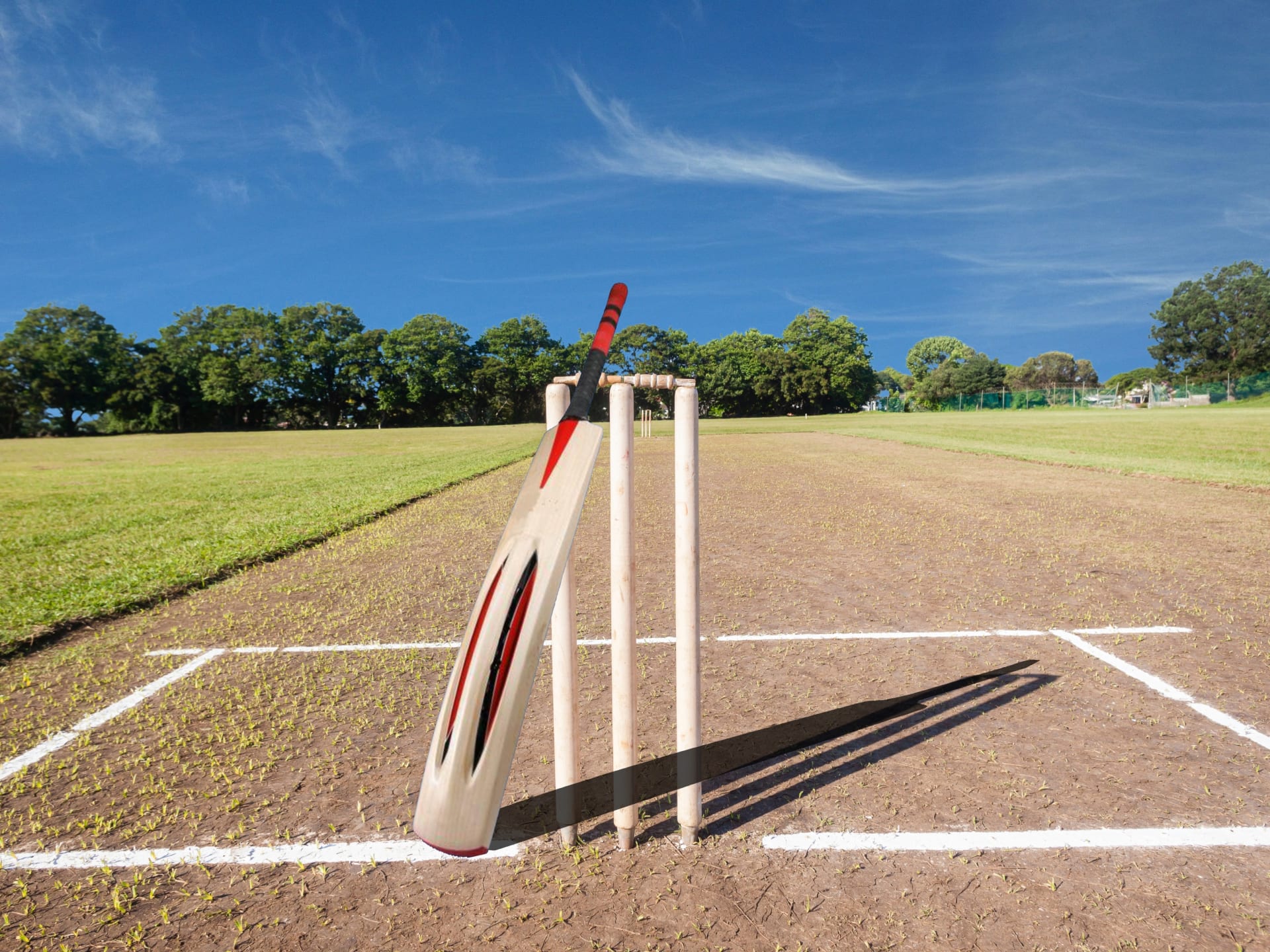 cricket