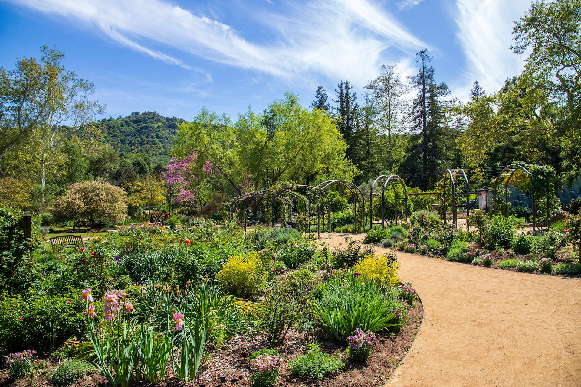 Descanso Gardens