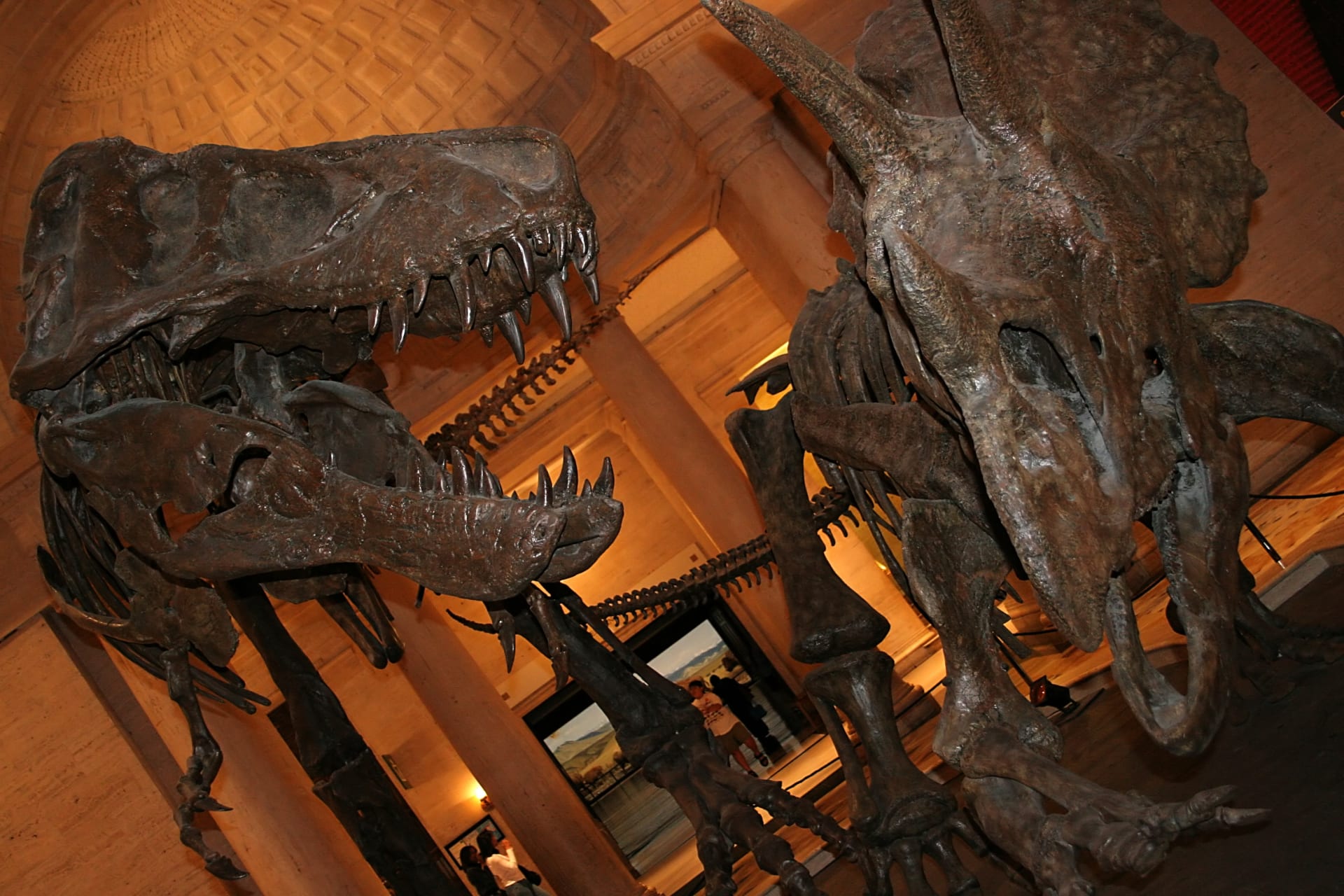 dinosaur-exhibit-nature-history-museum-los