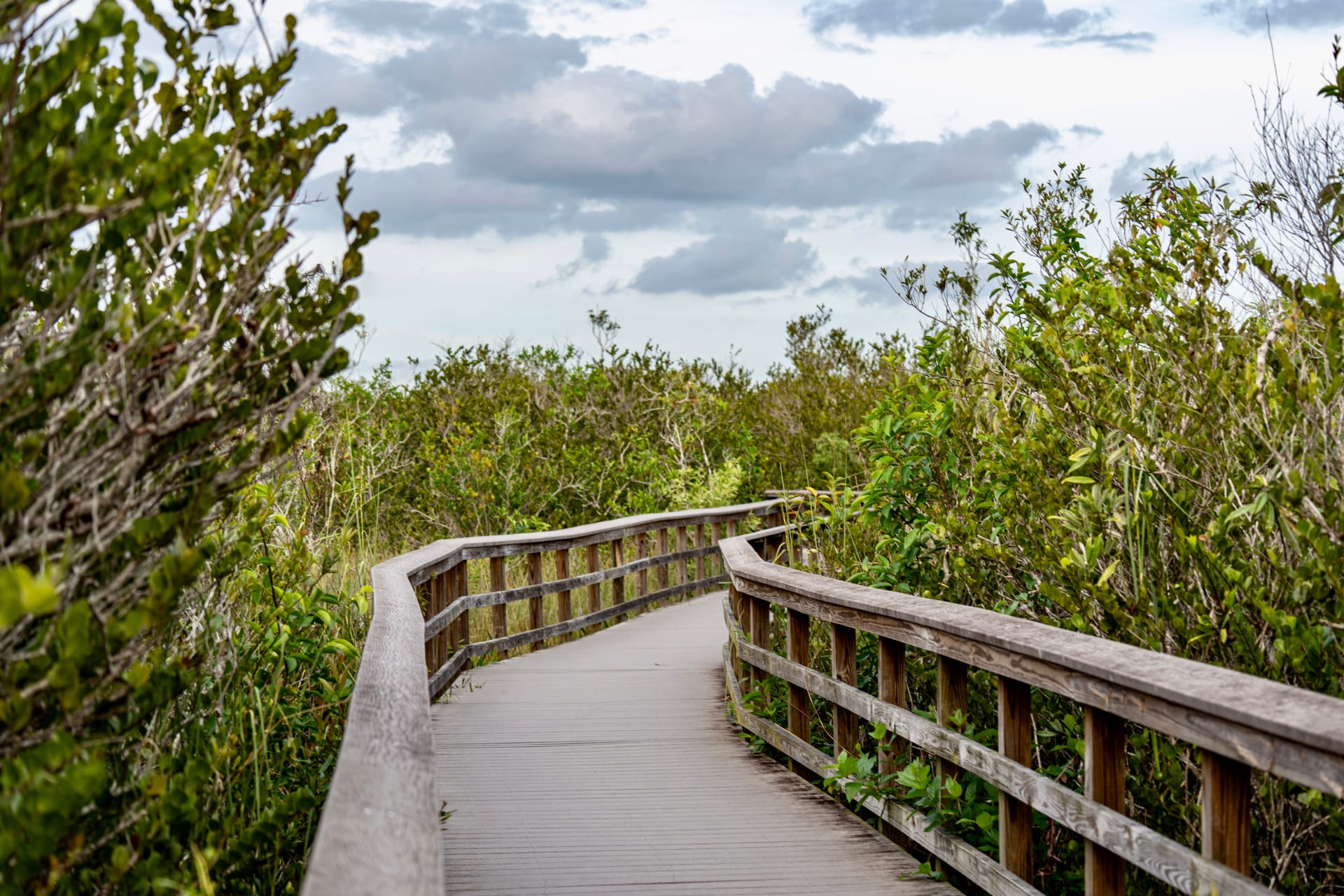 everglades-area-near-bobcat-trail