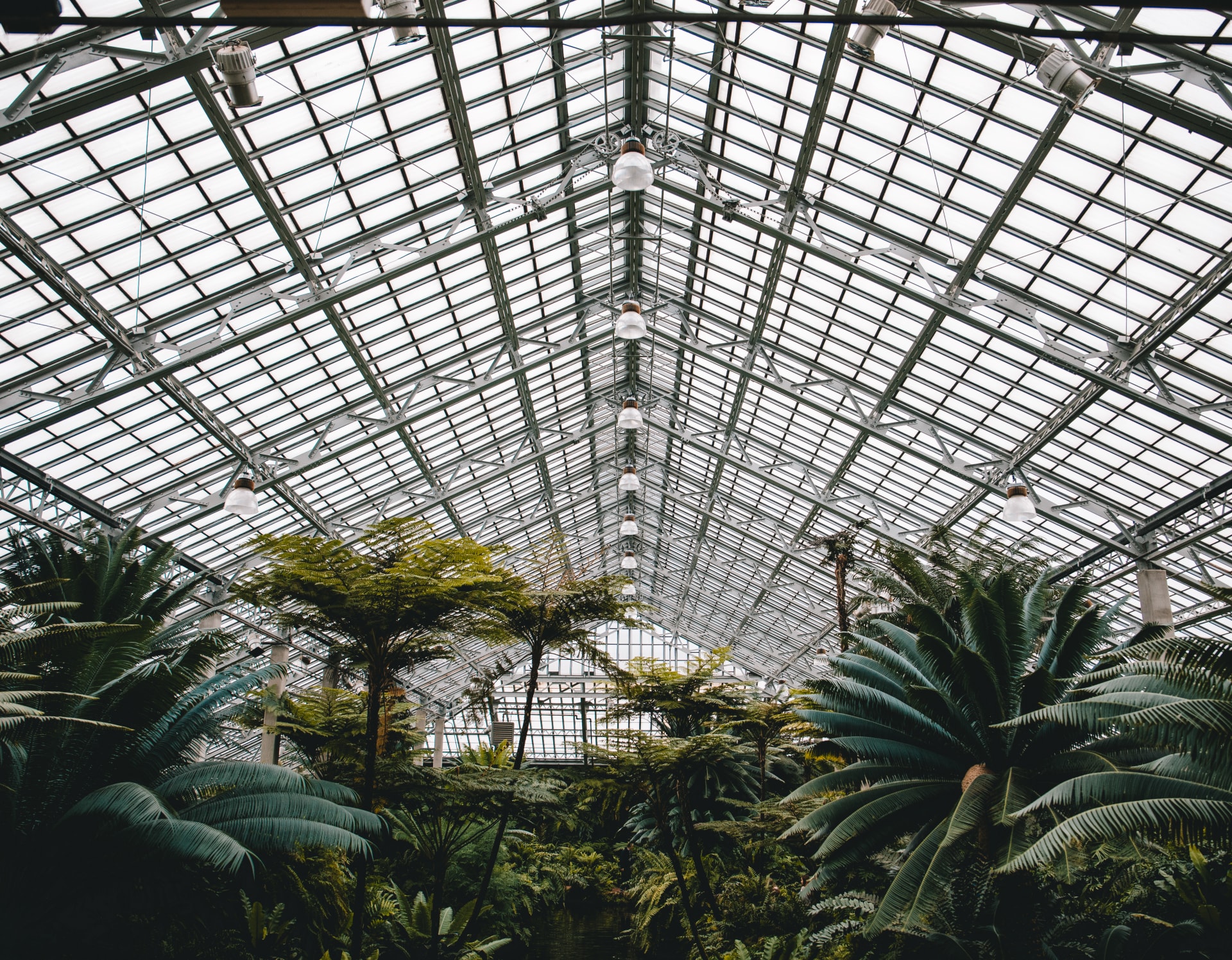 Garfield Park Conservatory