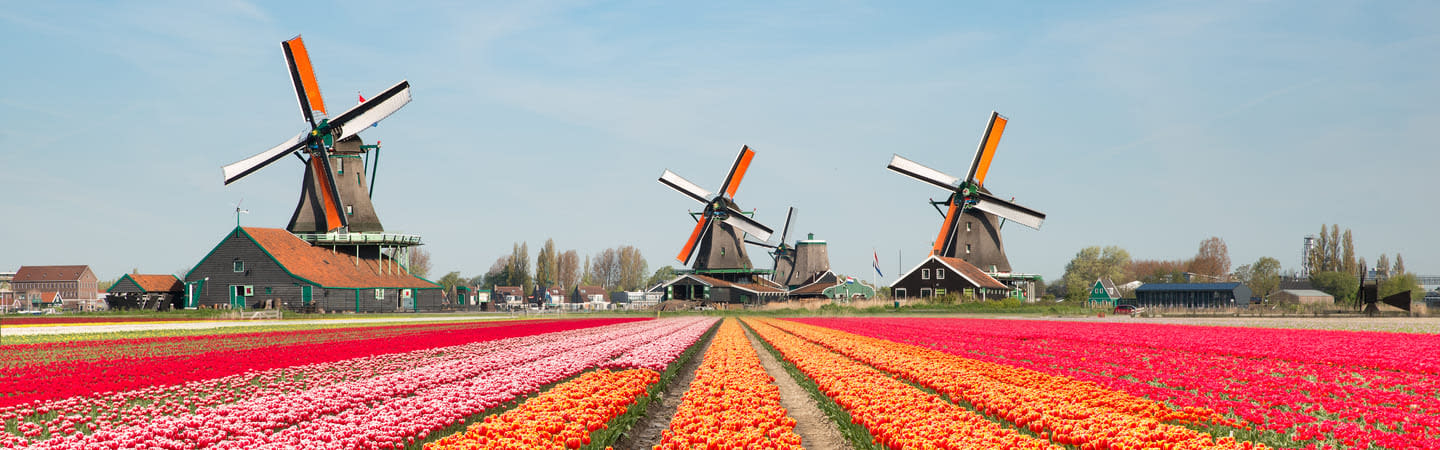 Keukenhof Amsterdam
