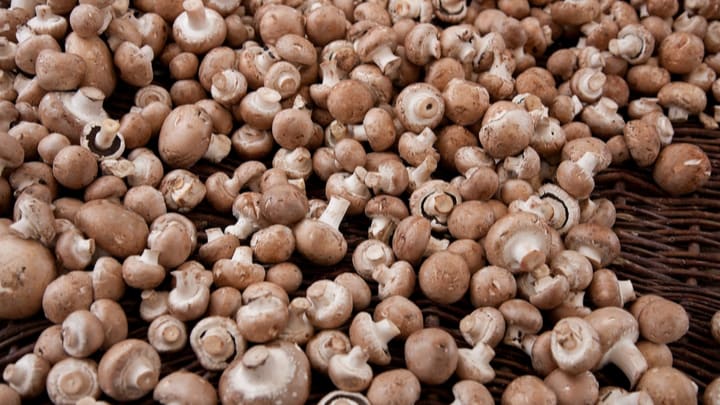 Marchés de la capitale hollandaise, guides et avis