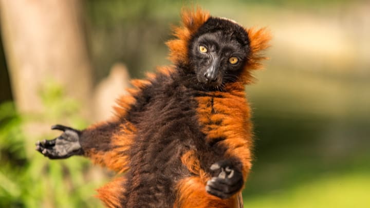 Aventure et sortie en famille, terrain de jeu Amsterdam