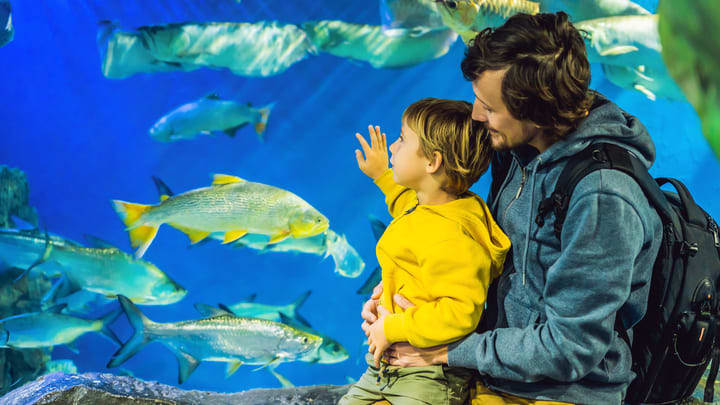 Man and child at Dubai Aquarium