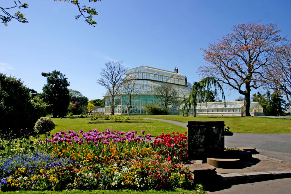 Botanischer Garten in Dublin