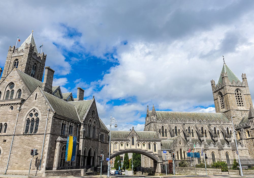 Dublinia