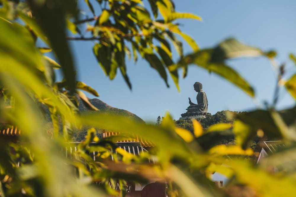 View of the Tian Tan Buddha