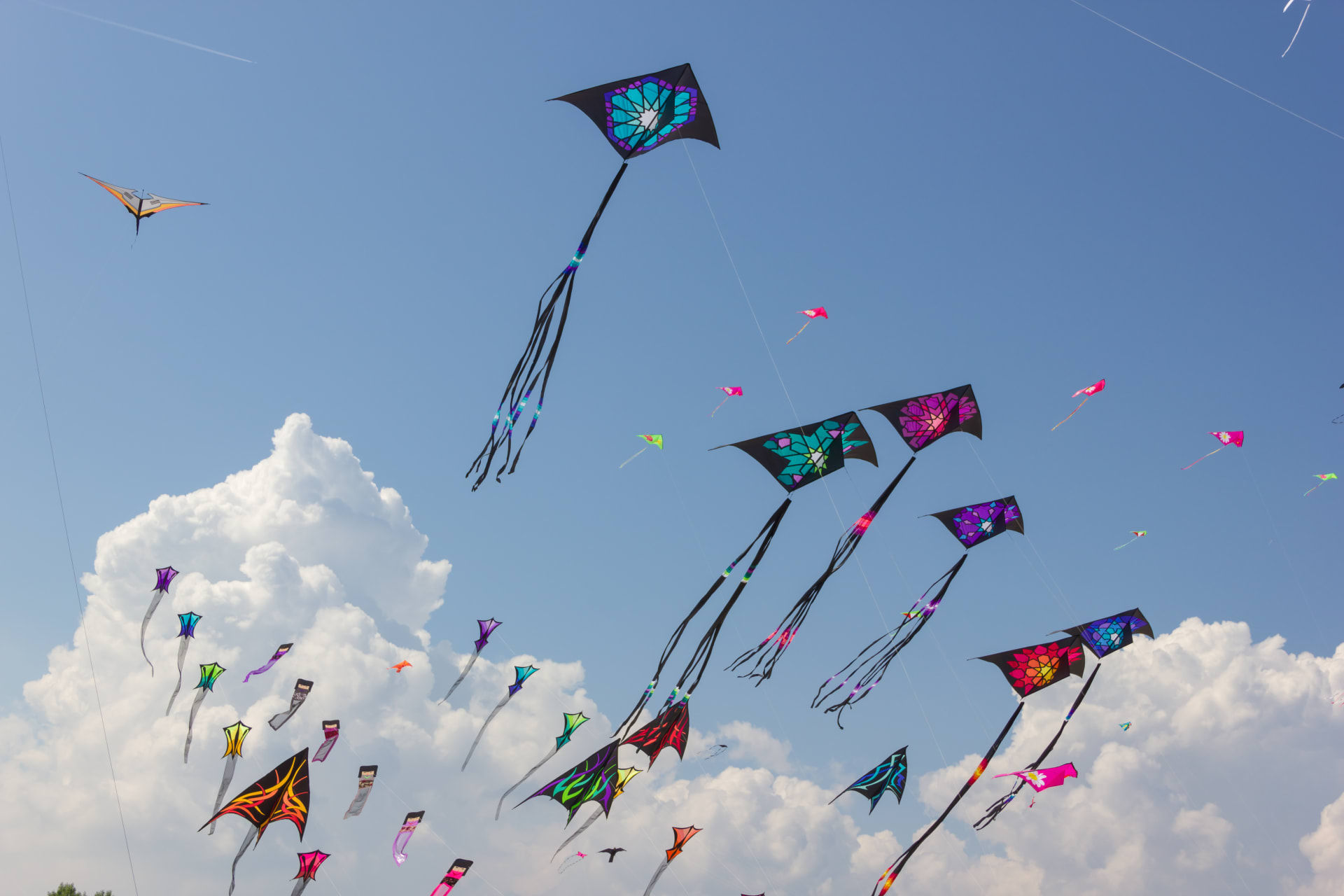 Cielo con muchas cometas de colores en el festival de cometas de Los Ángeles. Cosas que hacer en mayo en Los Ángeles.