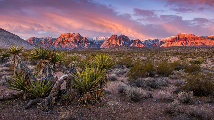 Red Rock Canyon in Nevada