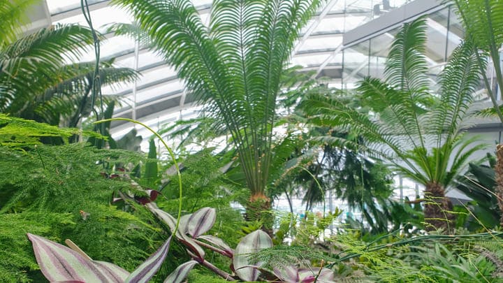 Le Sky Garden