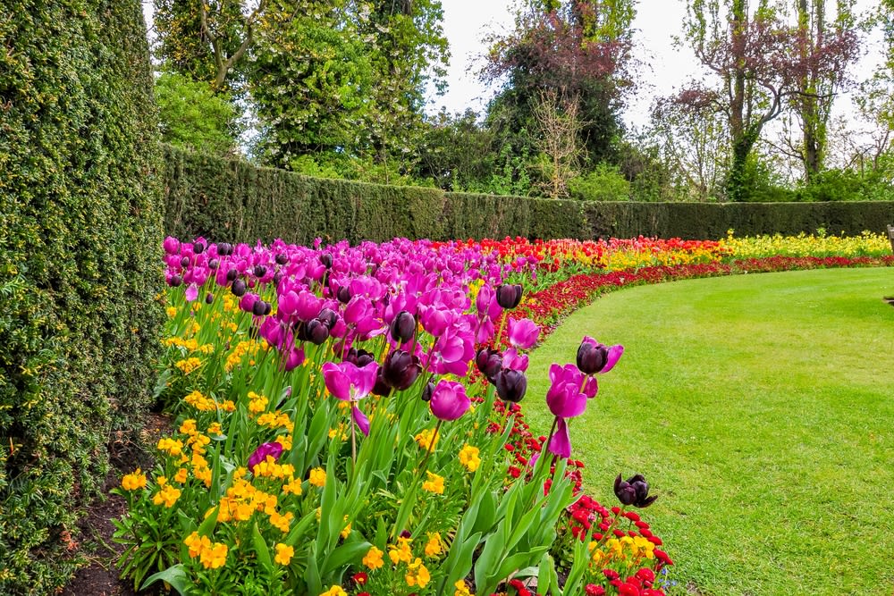 Regent's Park : celui des roses