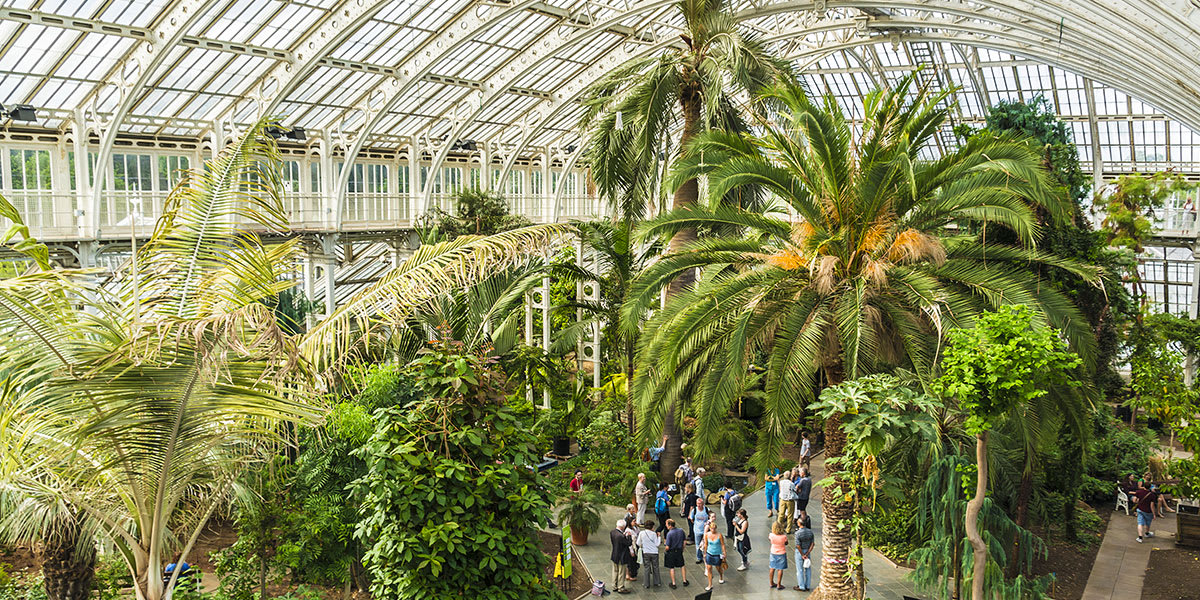 Jardins de Kew