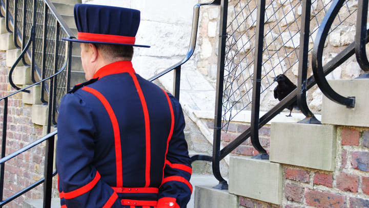Yeoman Warder mit Raben