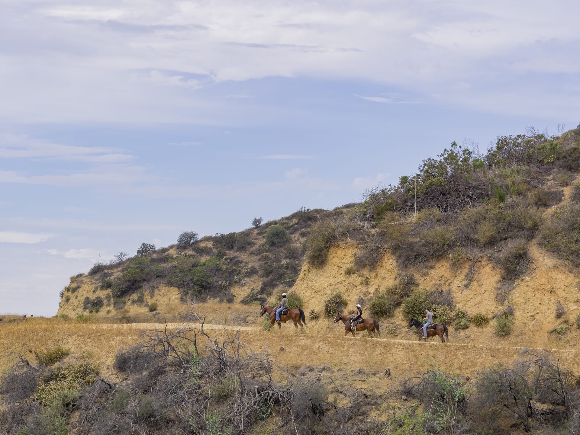 Grupo de personas a caballo por las colinas de Los Ángeles. Planes aventureros en Los Ángeles.